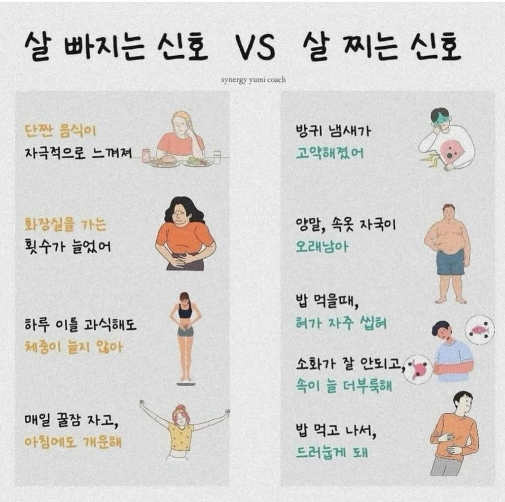 살 빠지는 신호 VS 살 찌는 신호 | 인스티즈
