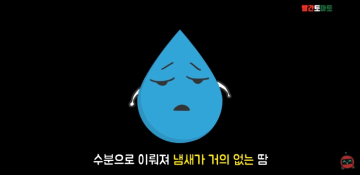 한국인 종특 | 인스티즈