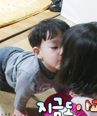 한국인이 미치게 사랑했던 랜선 조카들 모아보기 | 인스티즈