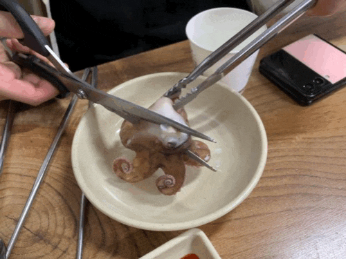 쭈꾸미 샤브샤브 | 인스티즈