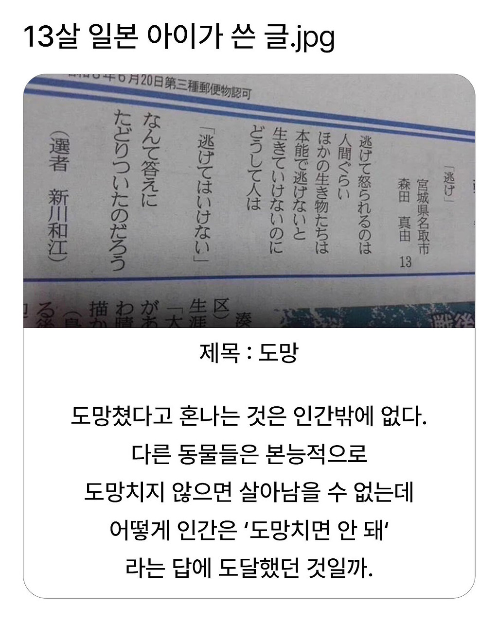 13살 일본 아이가 쓴 글 | 인스티즈