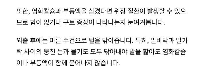 눈 온 뒤 산책할때 강아지가 아파하는 "염화칼슘" 대처법 | 인스티즈