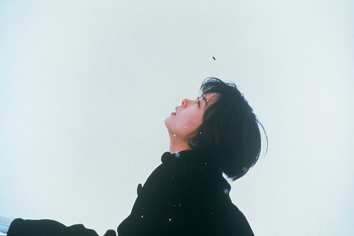 모든 헤어짐은 잘 헤어진 것이다.twt | 인스티즈