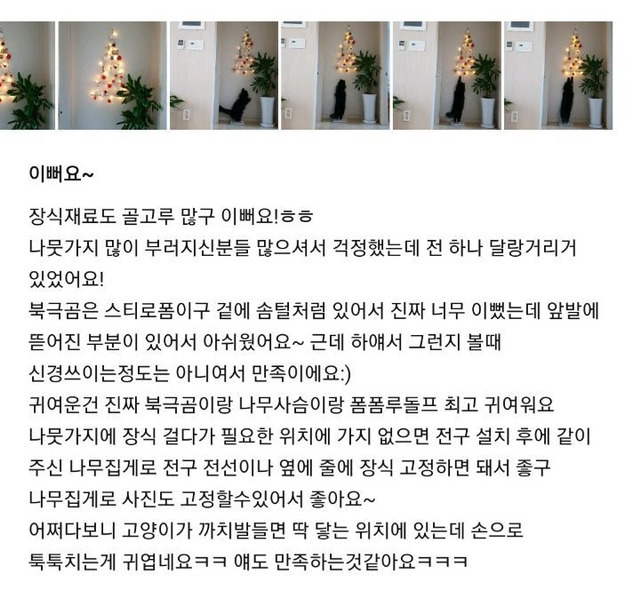 집사들이 벽에 거는 크리스마스 트리를 사는 이유.jpg | 인스티즈