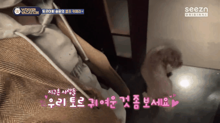 보는 사람도 행복해지는 강승윤 강아지 토르의 변화.jpg | 인스티즈