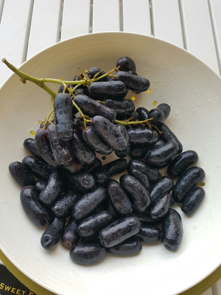 블랙사파이어 포도 jpg | 인스티즈