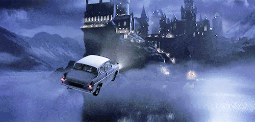 해리포터에서 가장 타보고 싶은 비행수단은? | 인스티즈