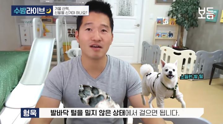 눈 온 뒤 산책할때 강아지가 아파하는 "염화칼슘" 대처법 | 인스티즈