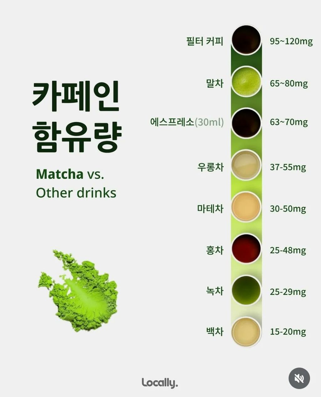 말차와 녹차의 차이 | 인스티즈