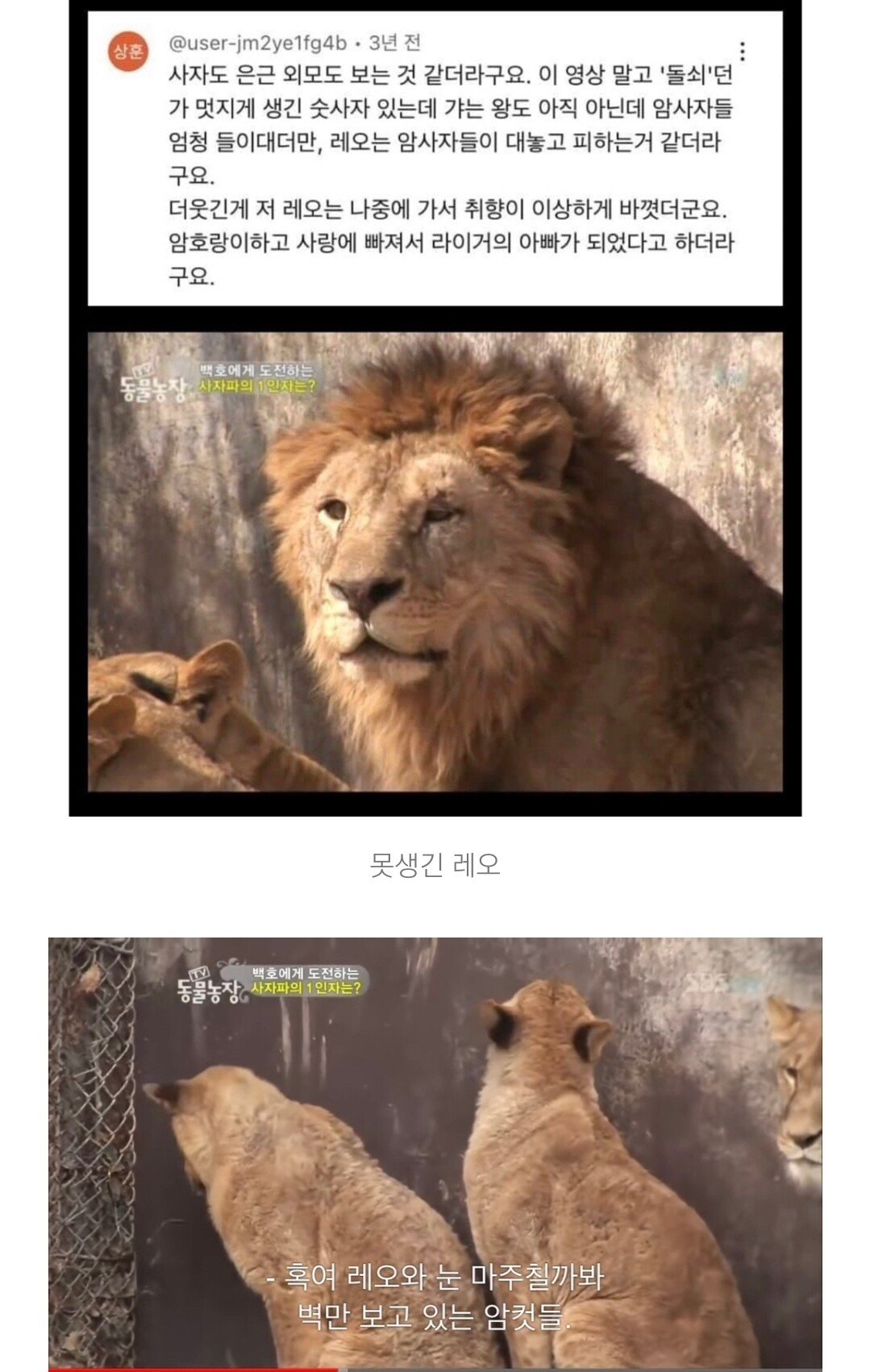외모지상주의의 잔인한 현실 | 인스티즈