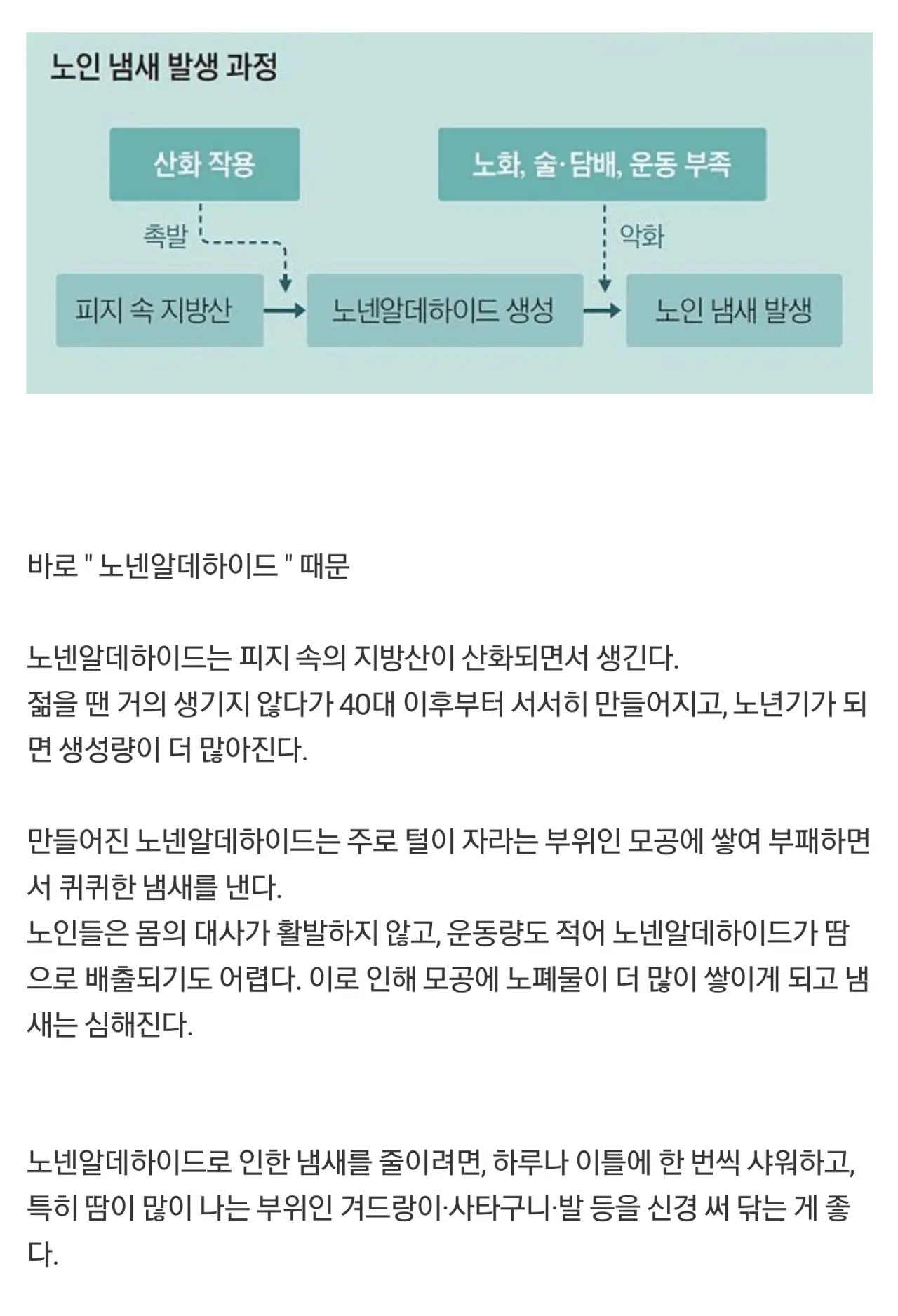 특유 이미지