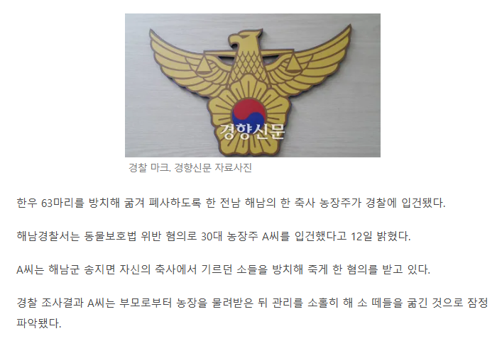 한우 63마리 떼죽음, 알고보니 주인이 굶겨···30대 농장주 "바빠서 관리 못했다” | 인스티즈