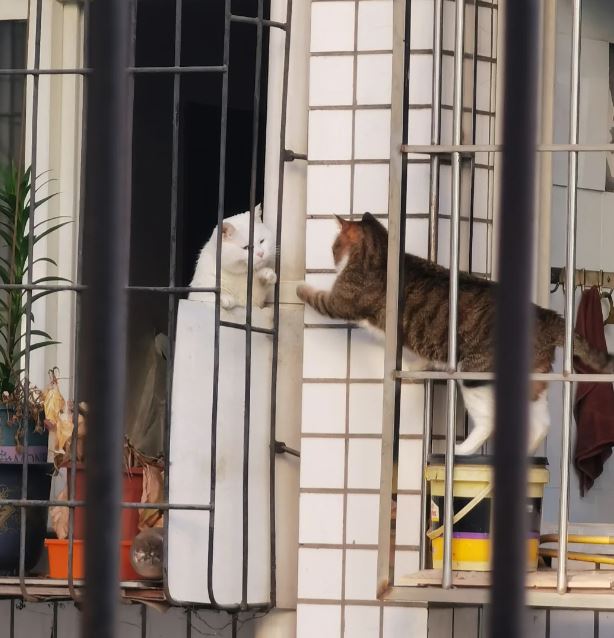 옆집과의 만남 | 인스티즈