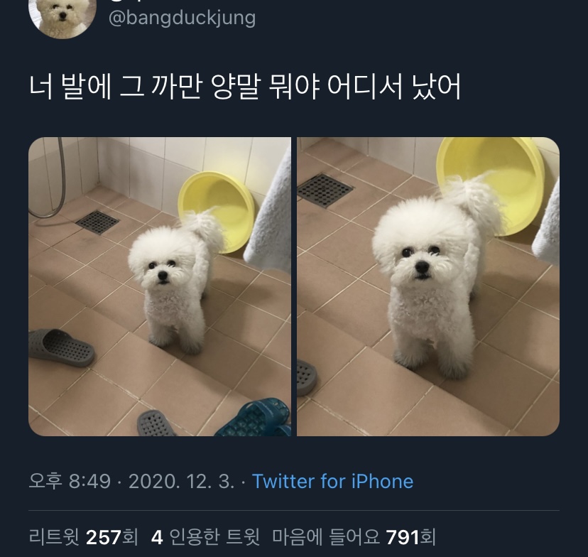 내가 좋아하는 단짠단짠 트윗모음 3 | 인스티즈