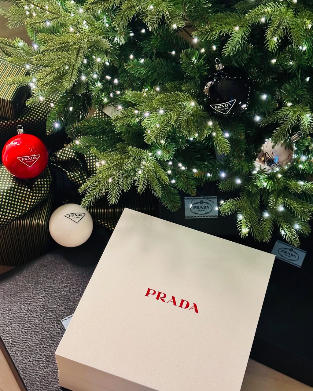 강미나 인스타그램 업로드 | 인스티즈