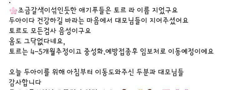 보는 사람도 행복해지는 강승윤 강아지 토르의 변화.jpg | 인스티즈