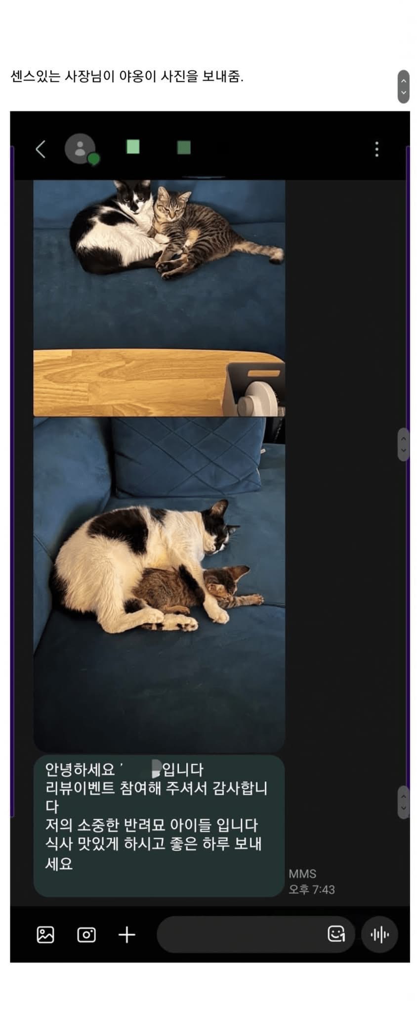 배달시켜먹다 겪은 귀여운 고양이썰 | 인스티즈