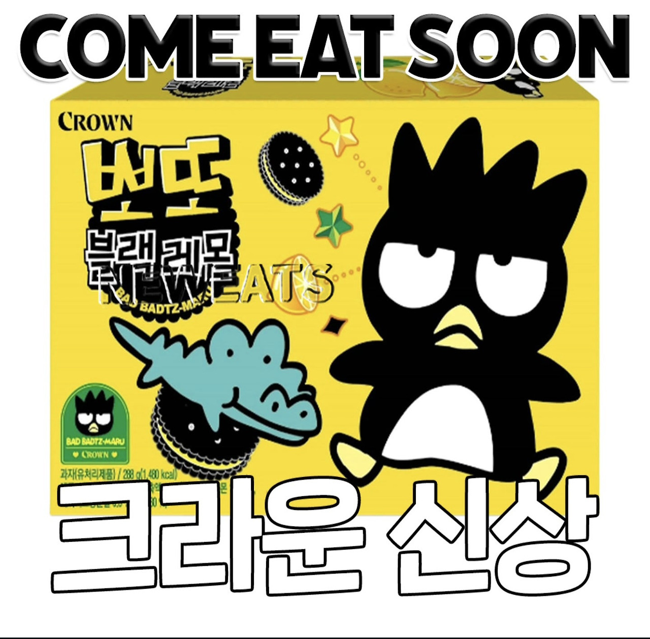 뽀또 신상 | 인스티즈