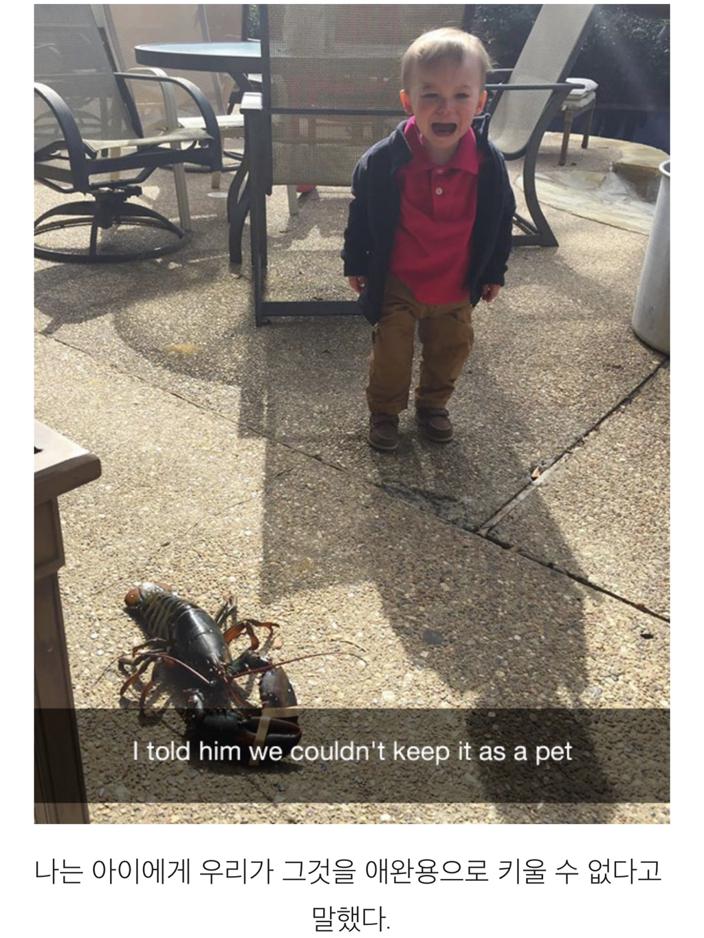 아이들이 우는 황당한 이유 | 인스티즈