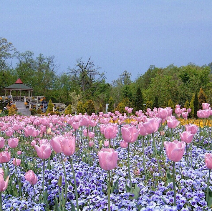 지극히 평화롭고 사랑스러운 | 인스티즈