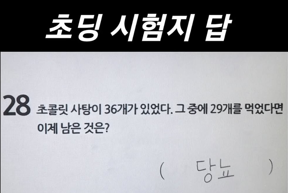 초딩 시험지 답 | 인스티즈