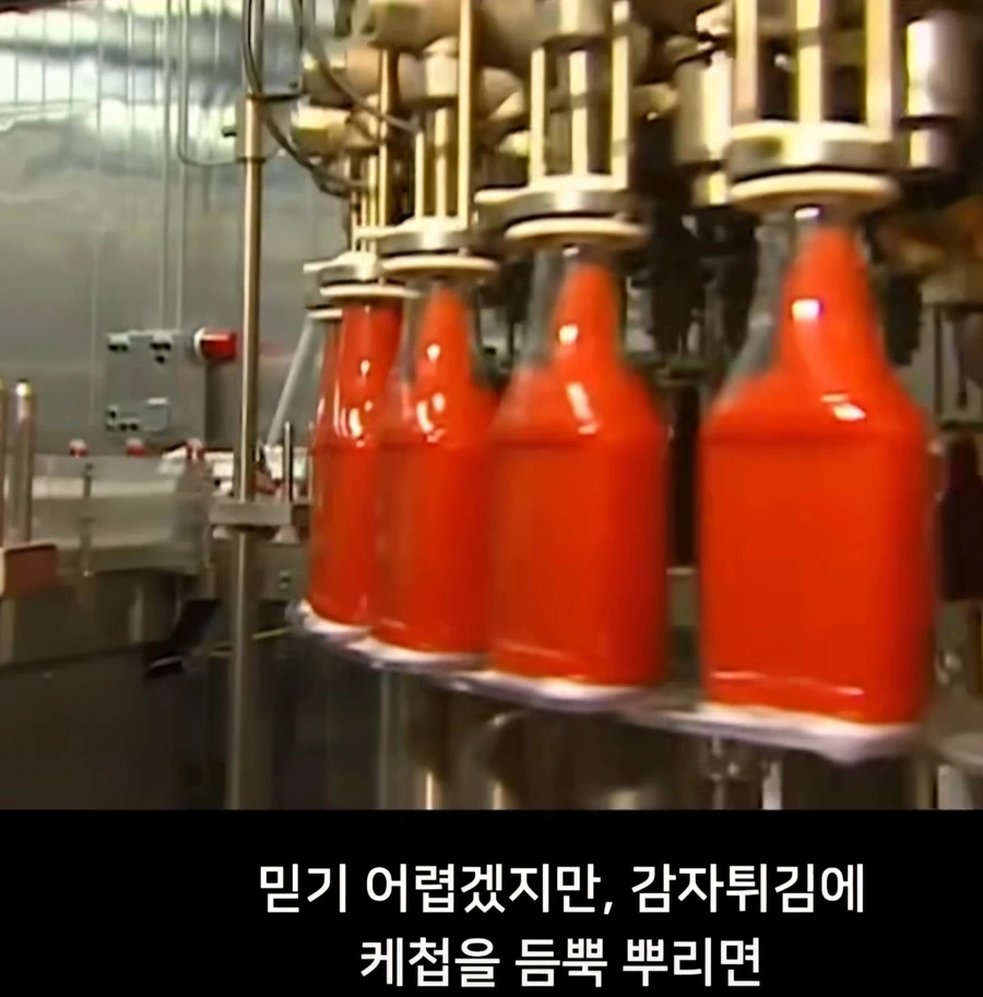 감자튀김에 케찹을 꼭 뿌려야하는 이유 | 인스티즈