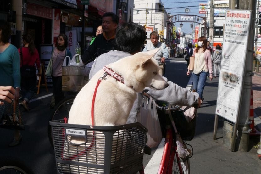 잘..지내는구나.. | 인스티즈