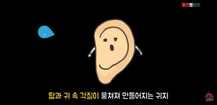 한국인 종특 | 인스티즈