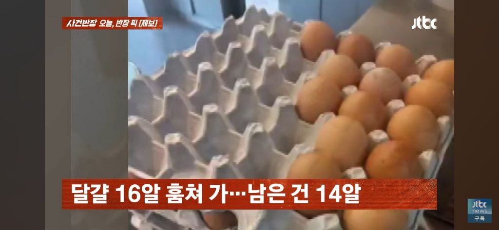 누가 달걀을 훔쳐가서 cctv를 봤는데.. | 인스티즈