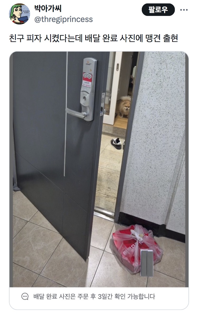 친구 피자 시켰다는데 배달 완료 사진에 맹견 출현 | 인스티즈