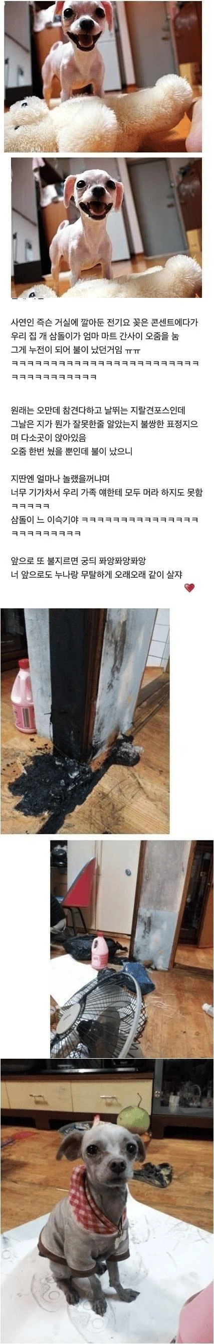 미필적 고의에 의한 방화 | 인스티즈