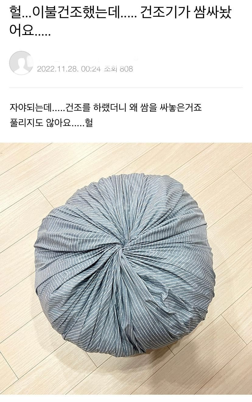 건조기가 빚어주는 만두 | 인스티즈