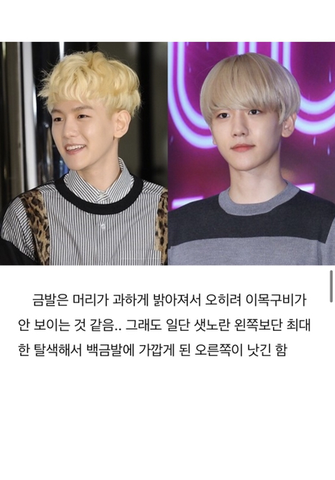 엑소 백현 퍼스널 컬러 분석 | 인스티즈