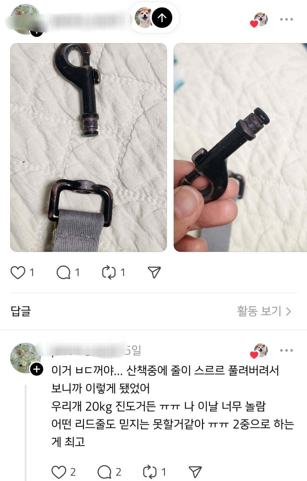 펫페어에서 목줄을 샀는데.. 오늘 산책하다가 끊어져버렸다.. | 인스티즈