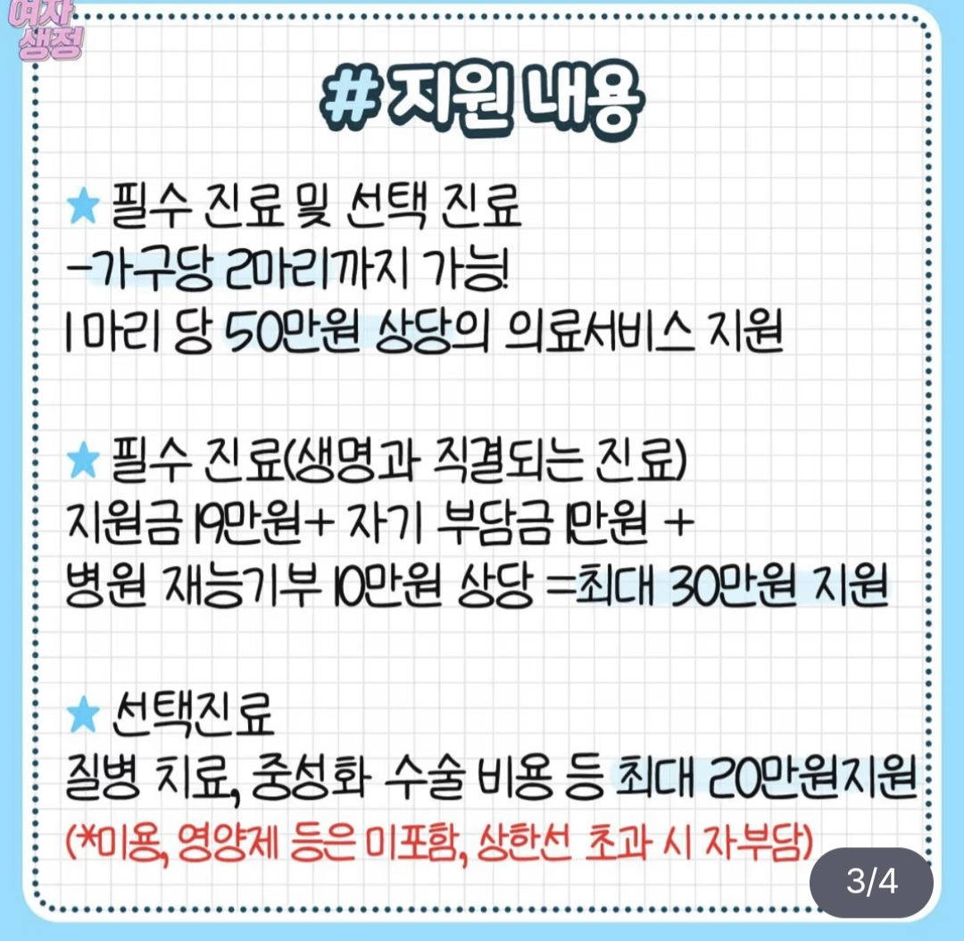 반려동물 의료비 지원 | 인스티즈