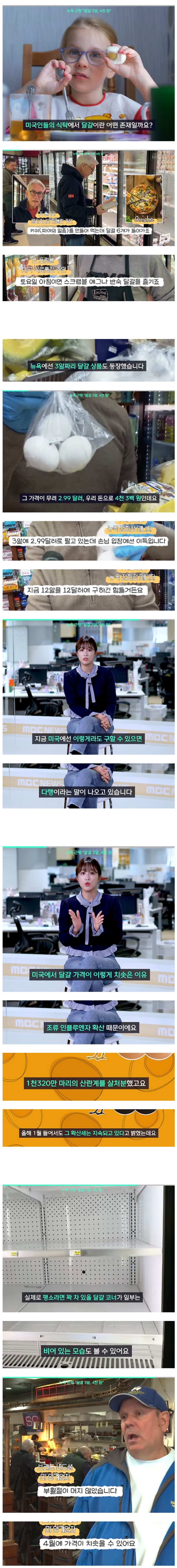 계란 한알에 1400원이 넘고 있는 미국 상황 | 인스티즈