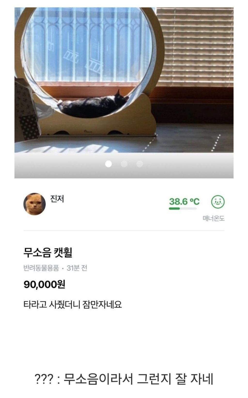 당근에 올라온 무소음 캣휠 | 인스티즈