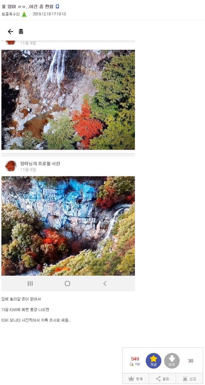 흙수저 갤러리 래전드...... 엄마 프사......jpg | 인스티즈