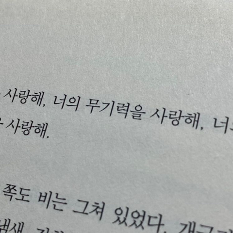 사랑은 낭만적이라 지독하리만큼 아프고 금방 시들어버려서 | 인스티즈