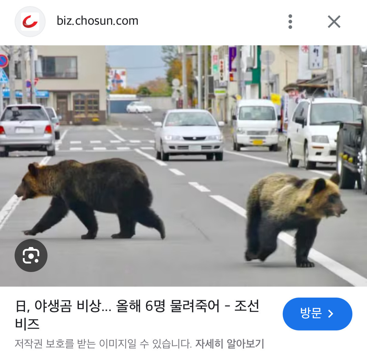 요즘 다사다난한 일본 근황 | 인스티즈