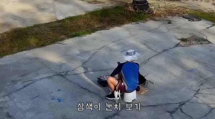 haha ha네 냥이들 질투 모먼트 모음.. | 인스티즈