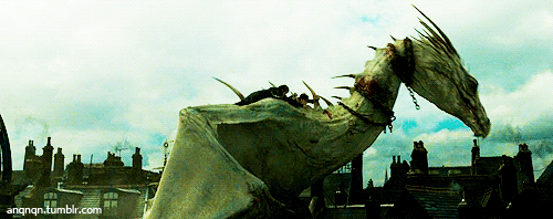 해리포터에서 가장 타보고 싶은 비행수단은? | 인스티즈