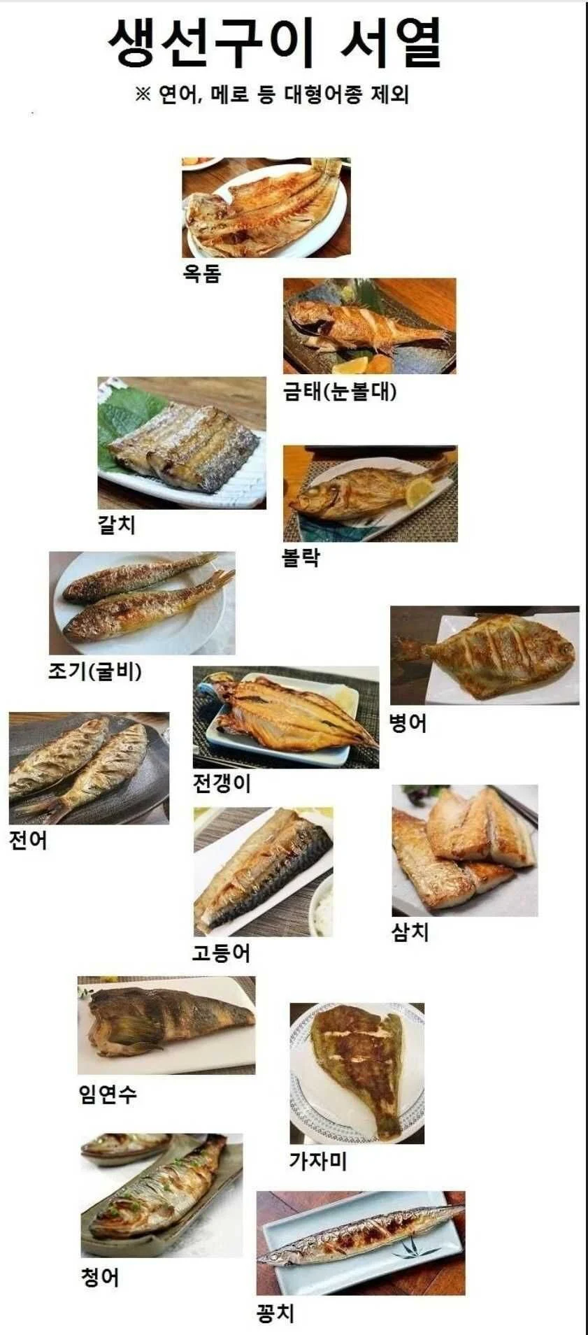 반박 불가하다는 생선구이 서열 정리.list | 인스티즈