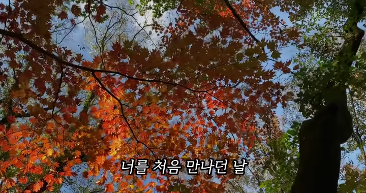 반려묘를 떠나보낸 유튜버가 올린 영상 | 인스티즈