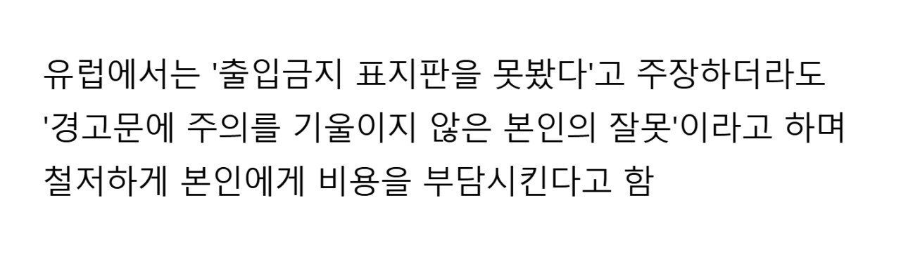 '제지하지 않은 공무원 탓'이 통하지 않는 유럽 | 인스티즈