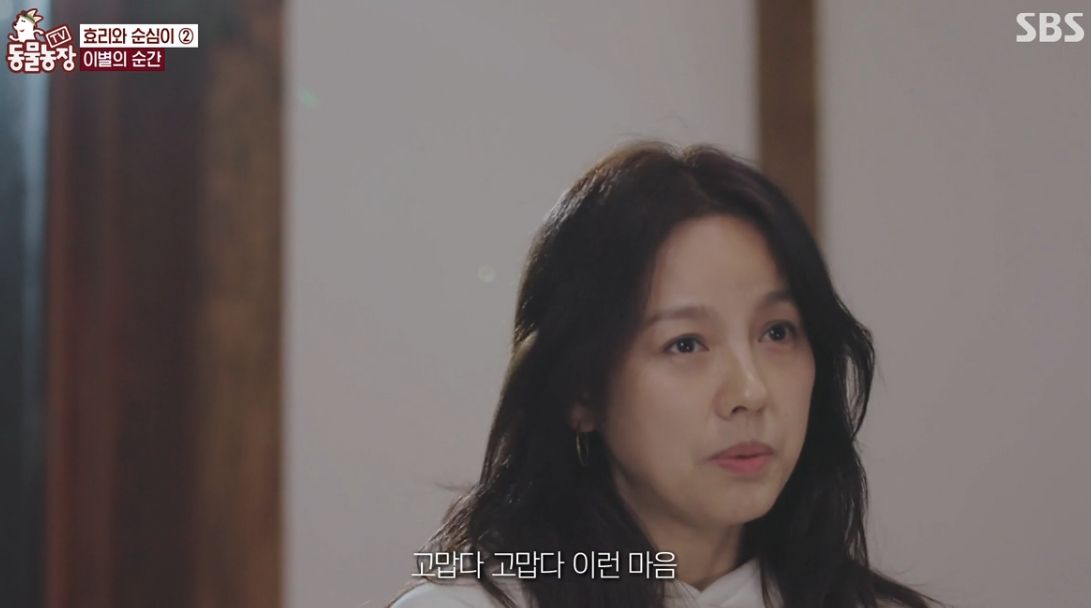 이효리 반려견 순심이가 죽기 전 다른 동물들이 보인 반응 | 인스티즈