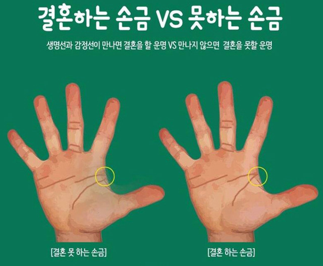 결혼하는 손금 vs 못하는 손금 | 인스티즈