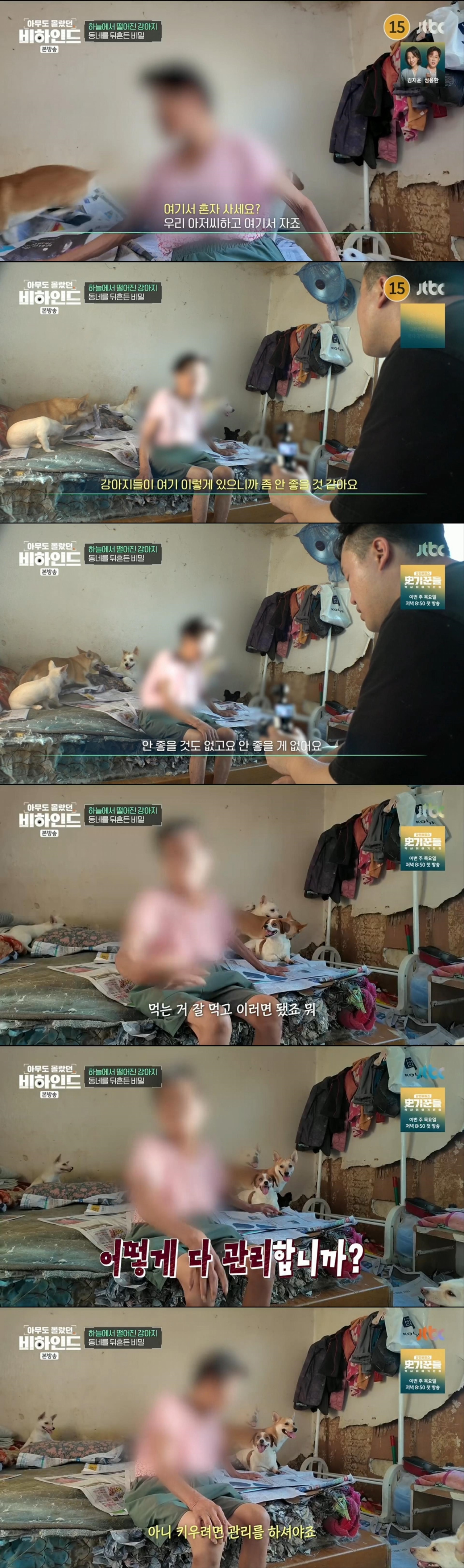 할머니와 할아버지와 함께 쓰레기집에서 살던 18마리의 강아지들 | 인스티즈
