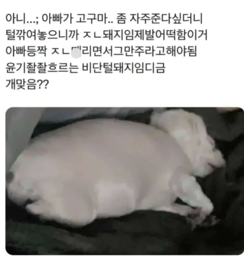 아빠가 고구마 자주 준다 싶더니 | 인스티즈
