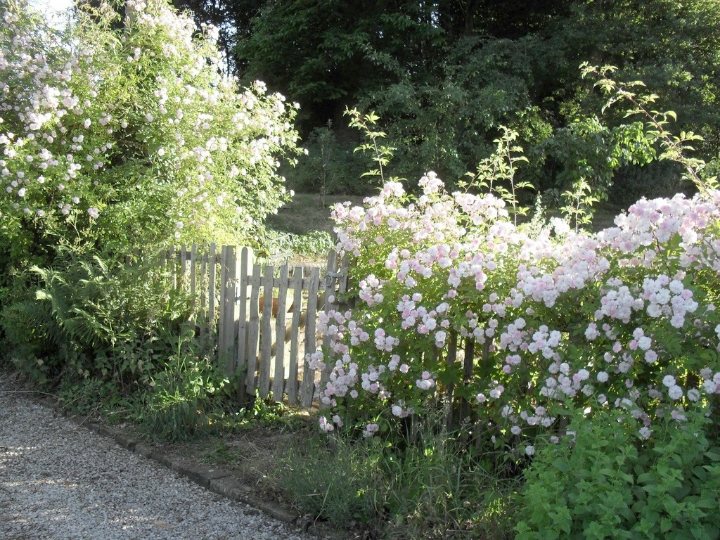 지극히 평화롭고 사랑스러운 | 인스티즈